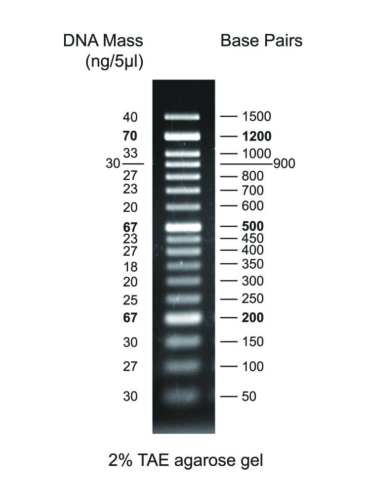 DNA ladder 50bp 501500bp, 1x500 µl vial LabFriend Australia
