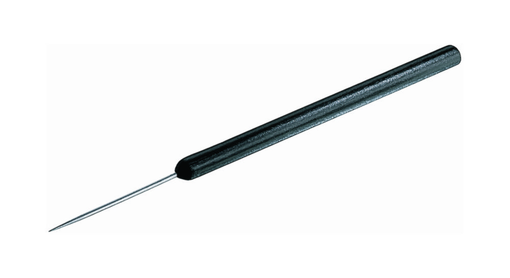 Dissecting needles with plastic handle length 140mm, straight ...