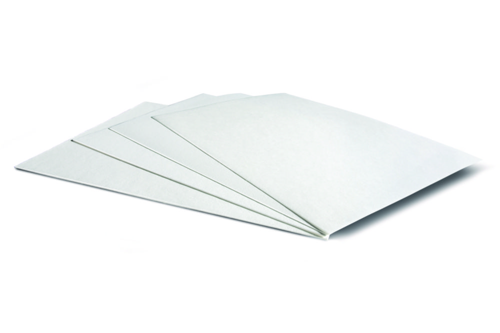 GEL blotting paper BF 3 580 x 600 mm, pack of 50 LabFriend