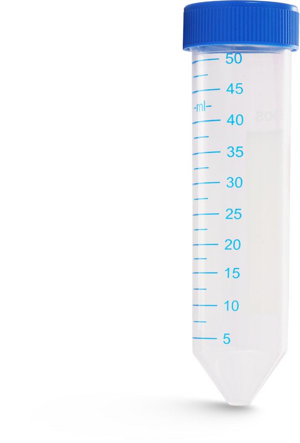 Centrifuge Tube Conical Pp Ml Dnase Rnase Free X Un