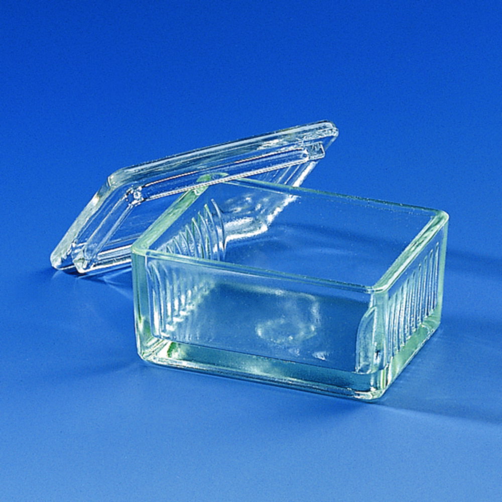 Staining trough type Schiefferdecker for 10 slides 76 x 26 mm soda glass pack of 10