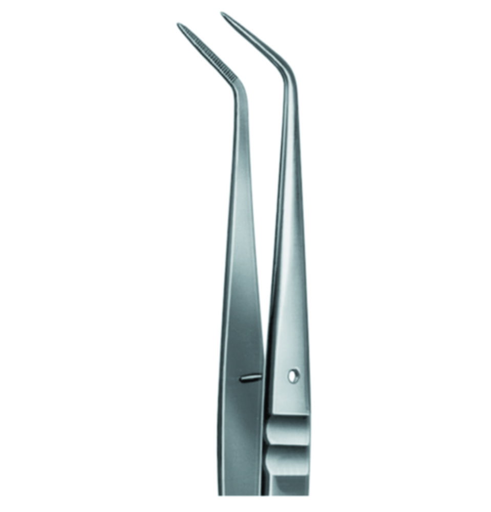 Staining forceps,CrNi-steel,serrated tips length 150 mm