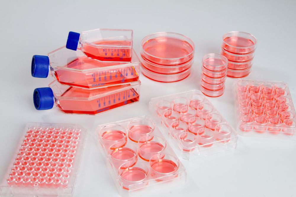 Nunclon Sphera Multidish 6-well culture area 9,6cm², with lid, sterile, suggested working vol. 1mL