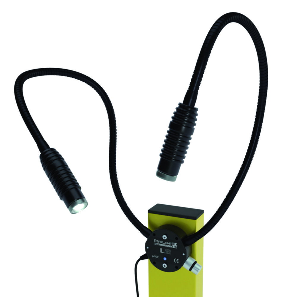 LED Incident Lamp 2-armed, arm length 600 mm
