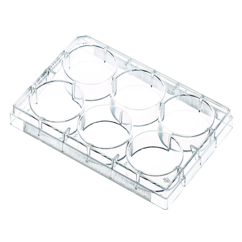 Tissue Culture Plates 6 Well flat bottom, TC-treated, blister packaging, sterile, pack of 10x10