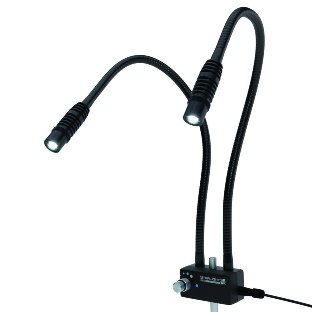 LED Incident Lamp with protective glass, 2-armed, arm length 450 mm
