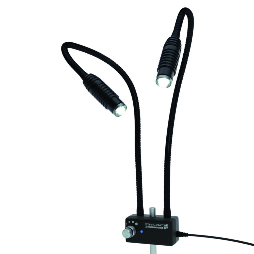 LED Incident Lamp 2-armed, arm length 600 mm