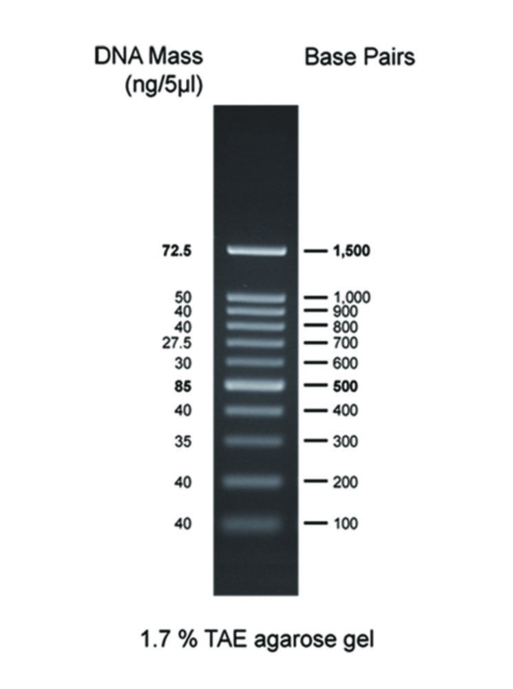 DNA ladder 100bp 100-1500bp, 1x500 µl vial