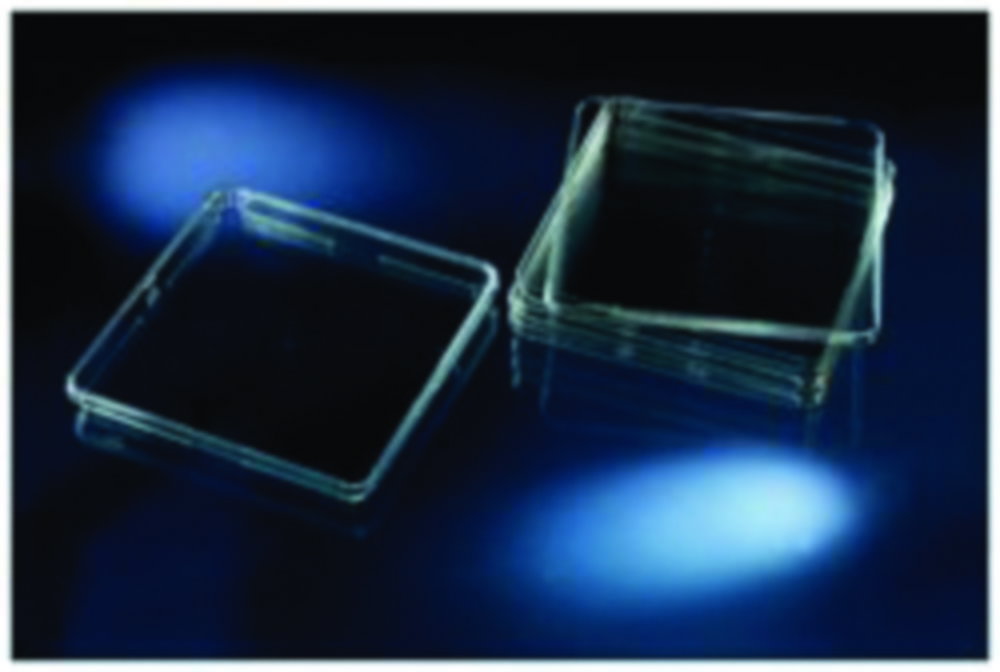 Biological test dish 245x245x25mm PS, 500 cm², standard height, sterile, with lid, pack of 16
