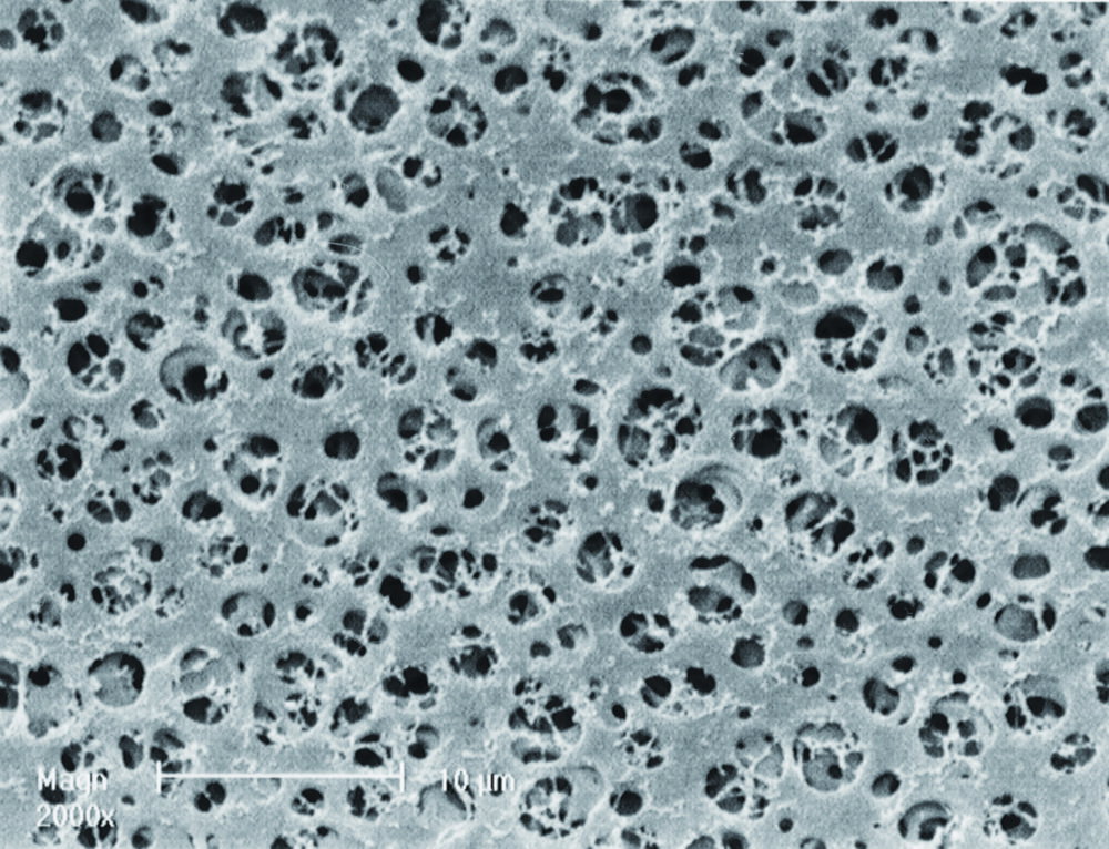 Membrane filters 50 mm, 0.2 µm, cellulose acetate, white, sterile, pack of 100