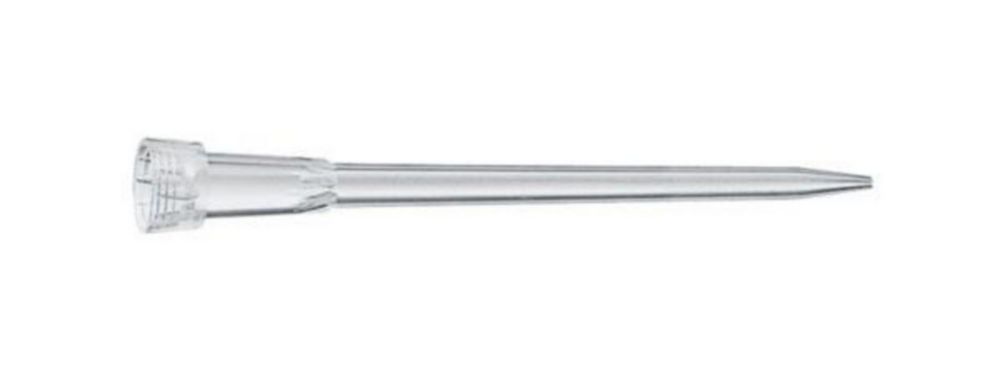 epTIPS Set G 0.5-20µL L epQuality light gray, pack of 5x96