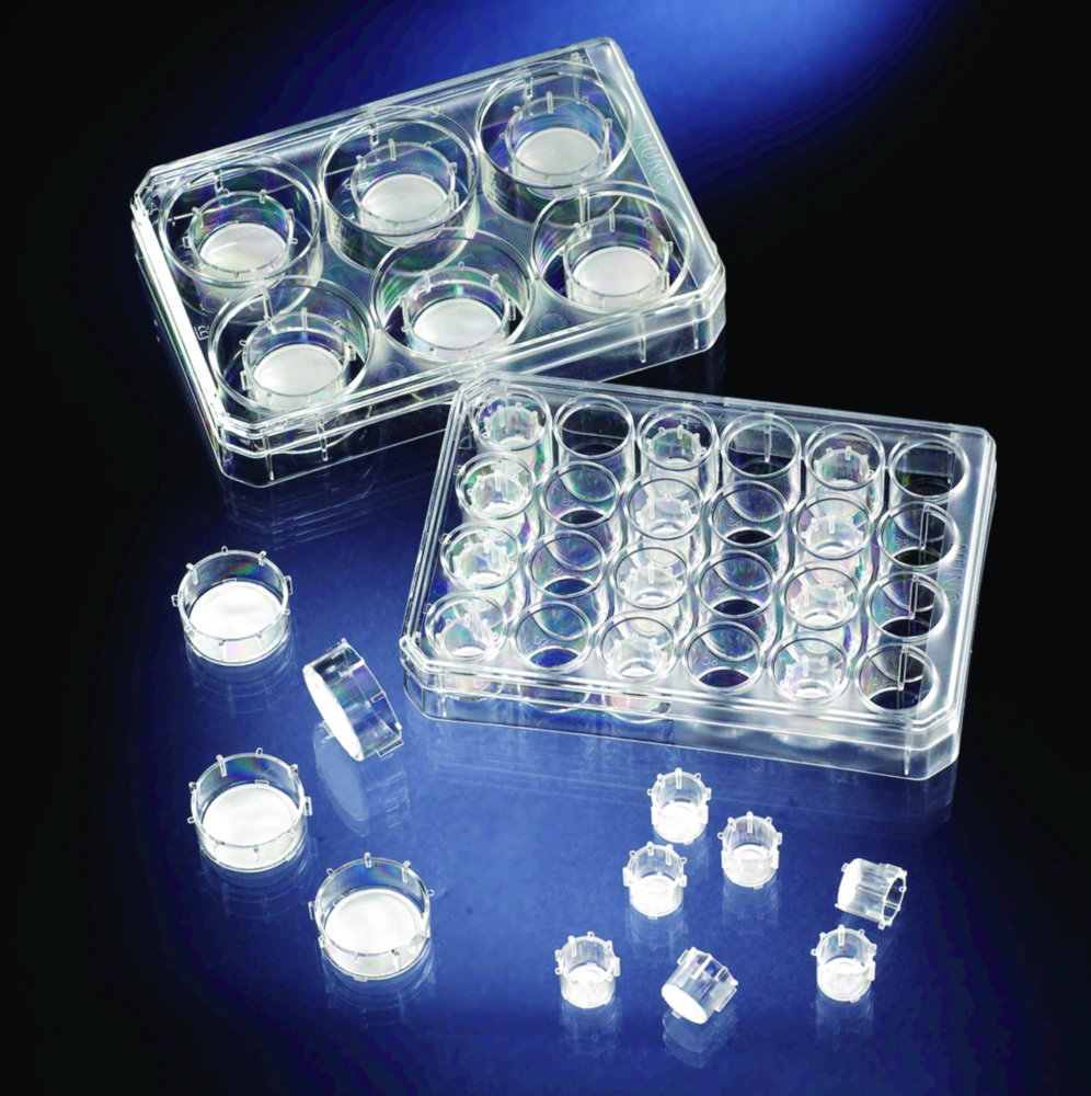 CC INSERT MD6 0,4 DIM 20/25 MM PC SI pack of 24