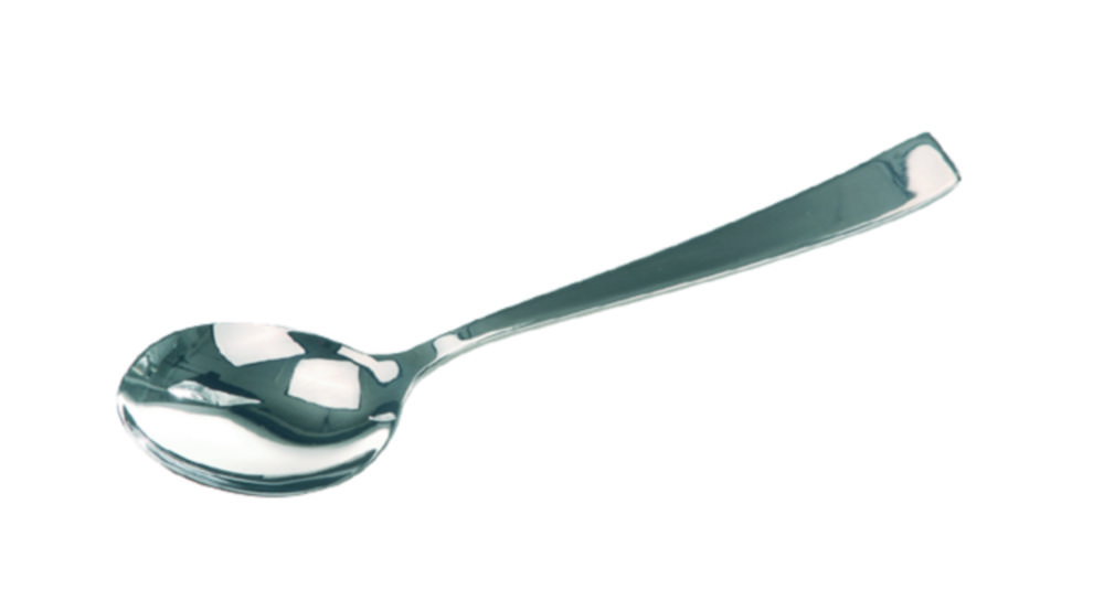 Spoon standard 195 mm 18/8 steel