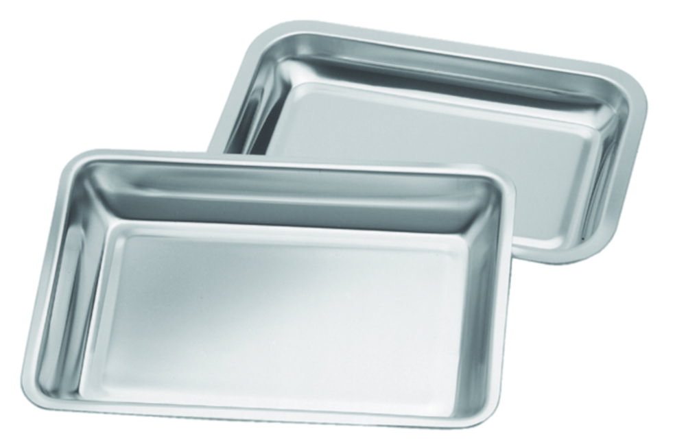 Instrument box 18/10 steel 350x250x40 mm
