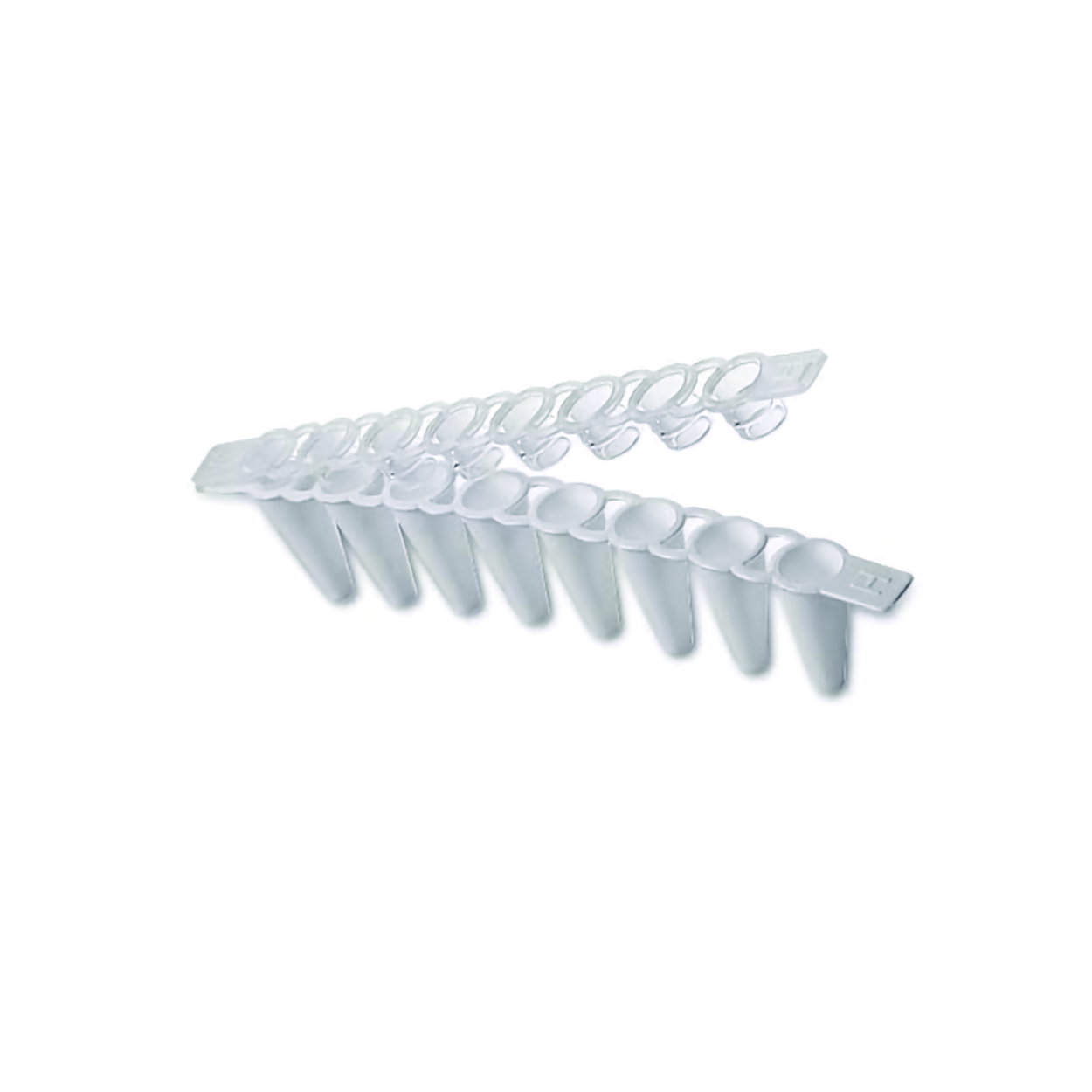 Masterclear Cap Strips and real-time PCR Tube Stripes, pack of each 10x12