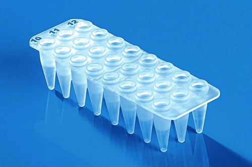 24 / 48 well PCR Plates, non-skirted, PP, for qPCR | LabFriend ...