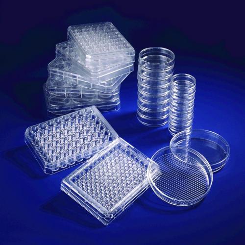 Cell Culture Dishes with thermosensitive UpCell™ Surface, PS