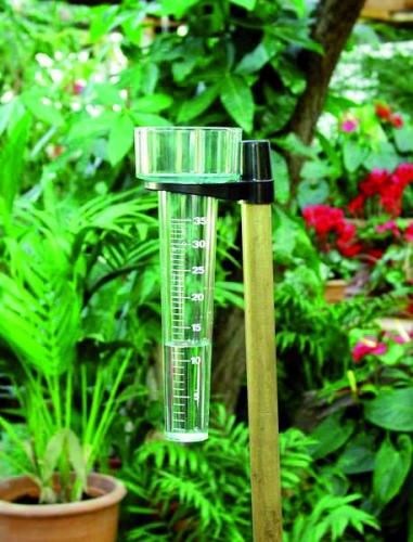 Rain gauge, plastic | LabFriend Australia | Lab Equipment and Lab Supplies