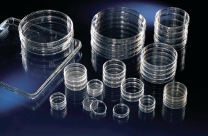 Cell and tissue culture plates, 150 mm Ø, PS, with vents, Nunclon treated, with lid, sterile, pack of 80_100195821